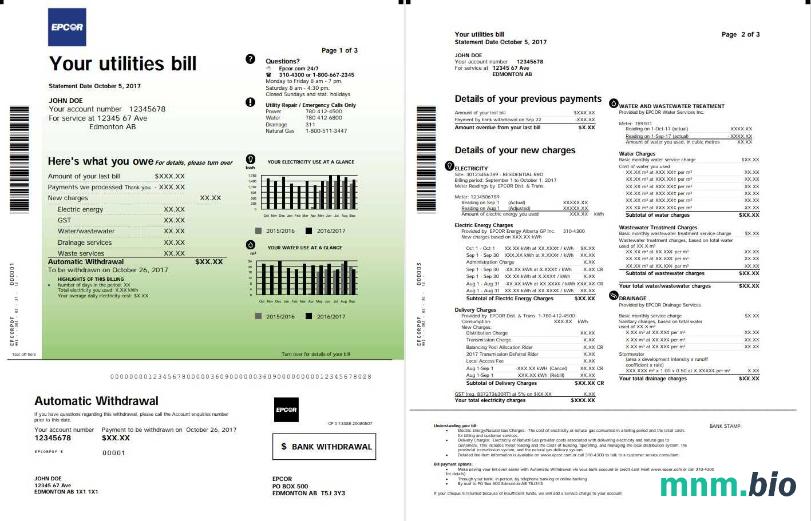 Szablon rachunku za energię elektryczną w Kanadzie Epcor w formacie Word i PDF, 3 strony 1 2